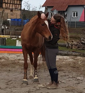 Les chevaux nous rendent-ils plus humains ?