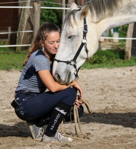 🌟 Notifier les choses : une clé essentielle dans la relation avec son cheval