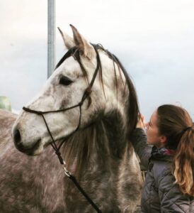 L’implication des propriétaires